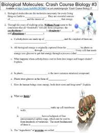 Biological Molecules Worksheet Answer Key Promotiontablecovers
