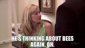 After police discovered a car filled with thousand of bees. Yarn He S Thinking About Bees Again Oh Arrested Development 2003 S01e22 Let Em Eat Cake Video Gifs By Quotes A640020e ç´—