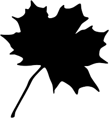 Free Image On Pixabay Maple Leaf Fall White Autumn Image Human Silhouette Printable Image