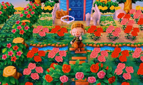 Saw U In The Flowers Today Newleaf Animalcrossing Animalcrossingnewleaf Animal Crossing Flowers Today My Animal