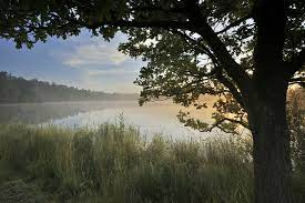 2,607 likes · 3 talking about this · 2,760 were here. Natuurgebied Leersumse Veld In Leersum Utrecht