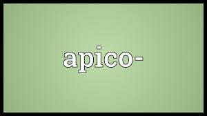 According to my medical result i need to undergo apico lordotic view bec. Apico Meaning Youtube