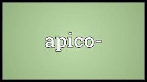 Apicolordotic view shows fibrehazed densities at the right what is the meaning of that doc. Apico Meaning Youtube