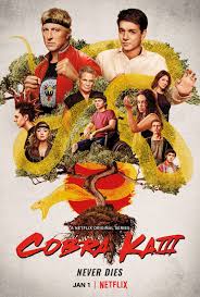 Ranging from superheroes to thrillers, animation to action, drama to comedy, the year had it all. Cobra Kai Tv Series 2018 Imdb