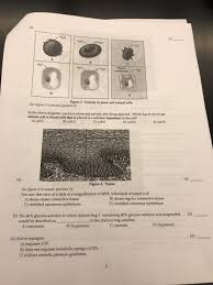 Maybe you would like to learn more about one of these? 5 All Transport Types Through E Cell Membrane C Can Chegg Com