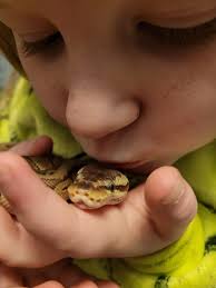 Show us your chonky fur babies