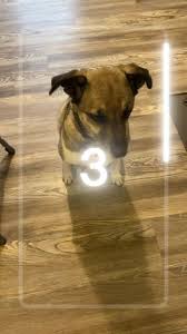 Morgan Boes (@morganboes)