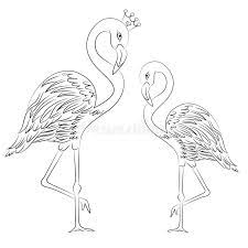 The rest of the flamingo has the characteristics of those living on the water: Vector Illustration Flamingos Coloring Page Stock Illustration Illustration Of Flamingo Page 119639144