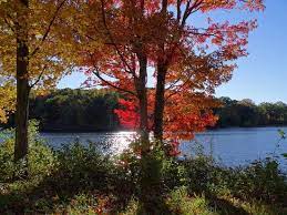 The macedonia brook flows through the entire park, providing a fabulous backdrop for campers and day trip picnic visitors. Great Views From Cobble Mountain Review Of Macedonia Brook State Park Kent Ct Tripadvisor