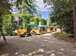 18,378 likes · 3,927 talking about this. Safarivlacek Zoo Olomouc Projizdka Do Sveta Zvirat Ol4you Olomoucky Lifestylovy Web