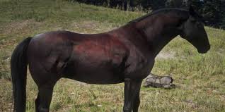 5 Best Horses In Red Dead Online