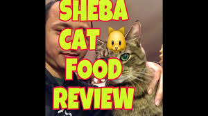 It is a multipack with 4 different varieties: Sheba Cat Food Review 2017 Cat Can Talk Funny Cats Youtube