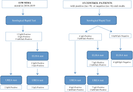 After miscarriage, recent birth or termination) some rare ovarian cysts. False Positive Results Of Sars Cov 2 Igm Igg Antibody Tests In Sera Stored Before The 2020 Pandemic In Italy International Journal Of Infectious Diseases