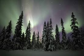 Northern Lights In The Winter Woods So Pretty See The Northern Lights Northern Lights Top Travel Destinations