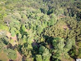 Contact tanya stutz lowery of lifestyle properties to learn more about this land. 0 Pinecrest Rd West Monroe La 71291 Loopnet Com