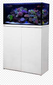 The stand is crafted from a weathered white wood veneer and has laminated particleboard with black. Lux Aquarium Tank System White Color 2 Models Available White Aquarium Stand Png Aquarium Png Free Transparent Png Images Pngaaa Com