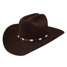 San Carlos In 2021 Felt Cowboy Hats Cowboy Hats Hat Band