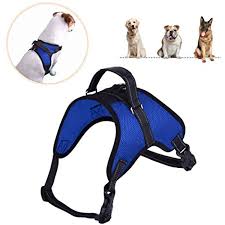 Dog Harness Adjustable Soft Mesh No Choke No Pull