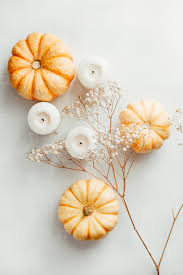 White pumpkin isolated on a white studio background. Photos Flat Lay Composition Of 187971 Youworkforthem