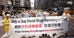 Image result for harvest organs, china