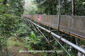 Maybe you would like to learn more about one of these? Tree Top Walk Sungai Sedim Kulim Kedah