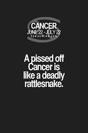 Zodiac Mind Your 1 Source For Zodiac Facts Cancer Zodiac Facts Zodiac Signs Cancer Cancer Zodiac