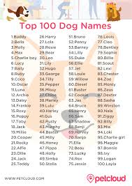 Choosing a name for your female puppy or dog requires a little inspiration and plenty of thought. Good Dog Names