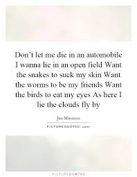 Don T Let Me Die In An Automobile I Wanna Lie In An Open Field Picture Quotes