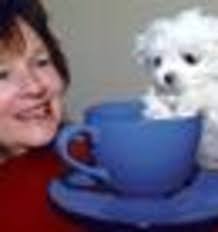 Gisborne dog Scooter 'among world's smallest'