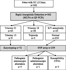Enlarged Nt 3 5 Mm In The First Trimester Not All Chromosome Aberrations Can Be Detected By Nipt Springerlink