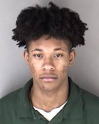 Murder defendant pleads guilty