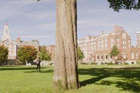 How to apply for harvard university. Admissions Harvard College