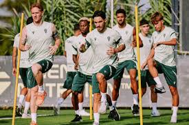 Salice rose leaks erome she is a professionals pro, knows