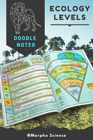 A Comprehensive Overview On Home Decoration In 2020 Doodle Notes Doodle Notes Science Science Doodles
