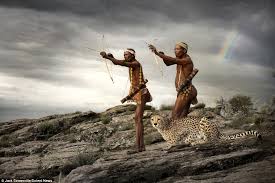 Image result for pics of africa
