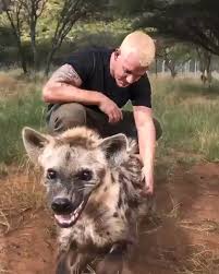 When Your Best Friend Is A Hyena Video Cute Baby Animals Funny Animal Videos Funny Animals