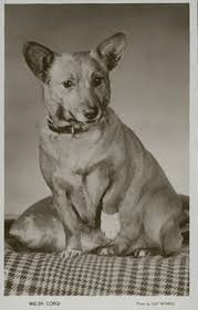 Old School Corgi Corgi Art Corgi Dog Vintage Dog