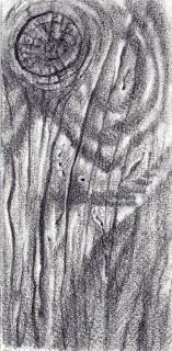 In this tutorial, i'll show you how to draw a wood texture step by step. Craftsy Com Express Your Creativity Texture Drawing How To Draw Wood Realistic Pencil Drawings