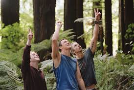 Without a paddle / cast Without A Paddle 2004 Imdb
