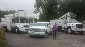 Curtis kings tree service has 15 years of experience providing strategic tree removal and other tree services in western canada. Noel S Tree Service Posts Facebook