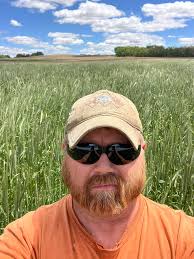 Cereal rye almost as tall as me, about time to plant beans green