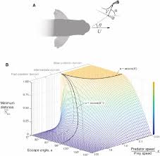A Pursuit Evasion Model For Predator Prey Interactions In Fish A Download Scientific Diagram 54 426 просмотров 54 тыс. predator prey interactions in fish