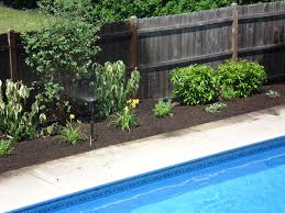 Quelles Plantes Autour De La Piscine