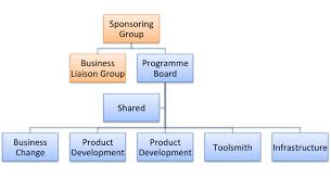 Programme Organisation For Software Delivery Its A