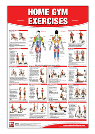 Home Gym Exercises Laminated Poster Chart Home Gym Chart