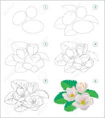 Page Shows How To Learn To Draw Step By Step Beautiful Jasmine Royalty Free Cliparts Vectors And Stock Illustration Image 143369261 Plus, they look absolutely stunning, and you can add a splash of color at the end to make them pop off the page.