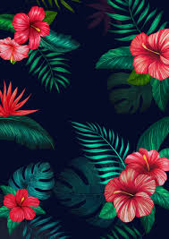 Iphone floral pattern black background. Download Great Black Wallpaper For Android Phone Today Floral Wallpaper Iphone Floral Wallpaper Black Wallpaper Iphone