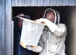 Milly Alcock in the raw- an unforgettable experience