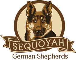 A trusted and experienced breeder for over 20 years. German Shepherd Breeder In Tennessee Sequoyah German Shepherds