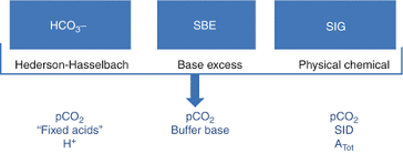 Image result for Base Excess